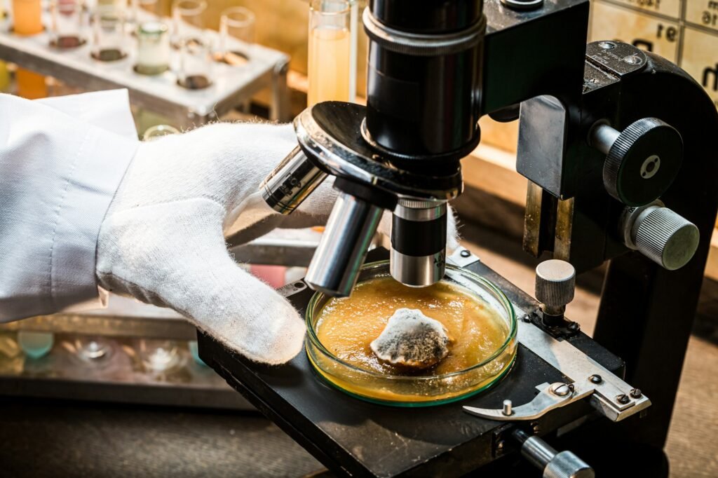 Laboratory during the mold test. Practical chemistry classes.