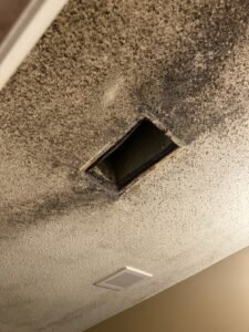 Aspergillus growth on mold vent