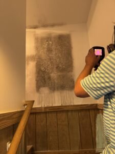 wall with aspergillus
