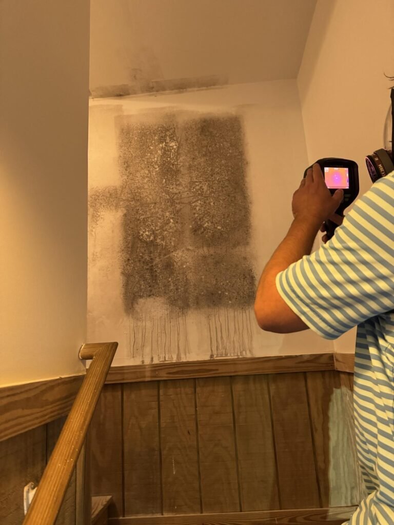 wall with aspergillus